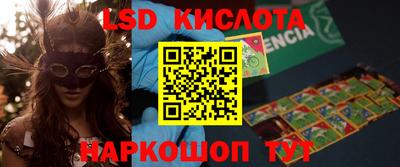 мет Кингисепп