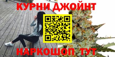 мет Кингисепп