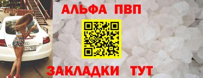 мет Кингисепп
