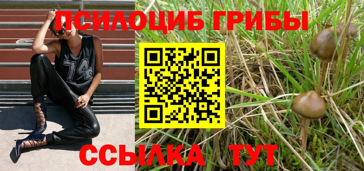 Псилоцибиновые грибы мицелий  Вход с VPN  Кулебаки  Псилоцибиновые грибы ЛСД 